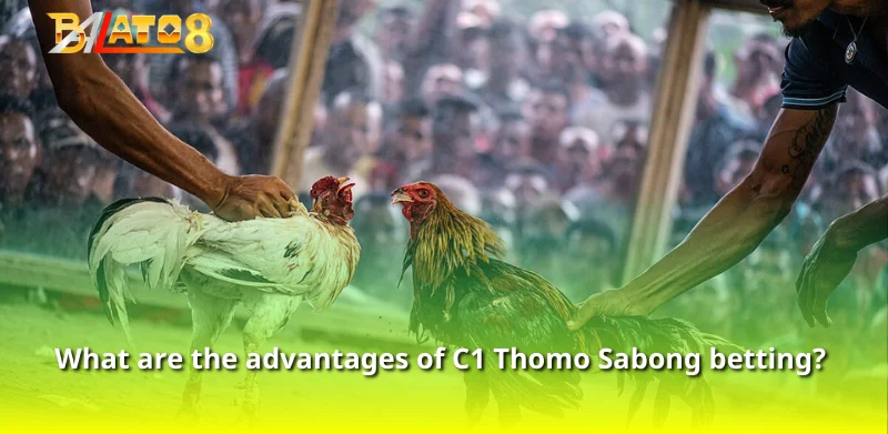 What are the advantages of C1 Thomo Sabong betting? 