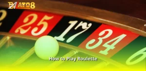 How to Play Roulette